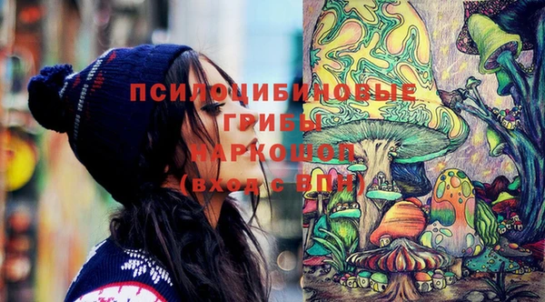 синтетический гашиш Няндома