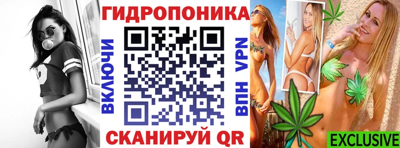 Купить закладки  Змеиногорск  Канабис семена 
